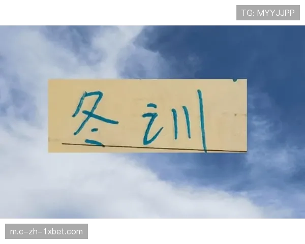 引援与战术匹配度待考 申花冬训成果未完全展现